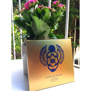 Uoma Beauty Salute to the Sun Eyeshadow Palette